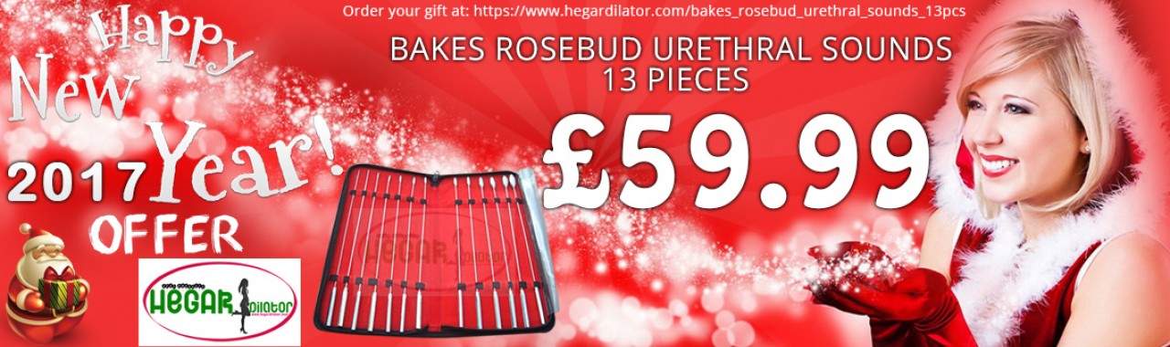 Bakes Rosebud Urethral Sounds 13 Pieces - £59.99