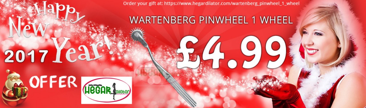Wartenberg Pinwheel 1 Wheel - £4.99